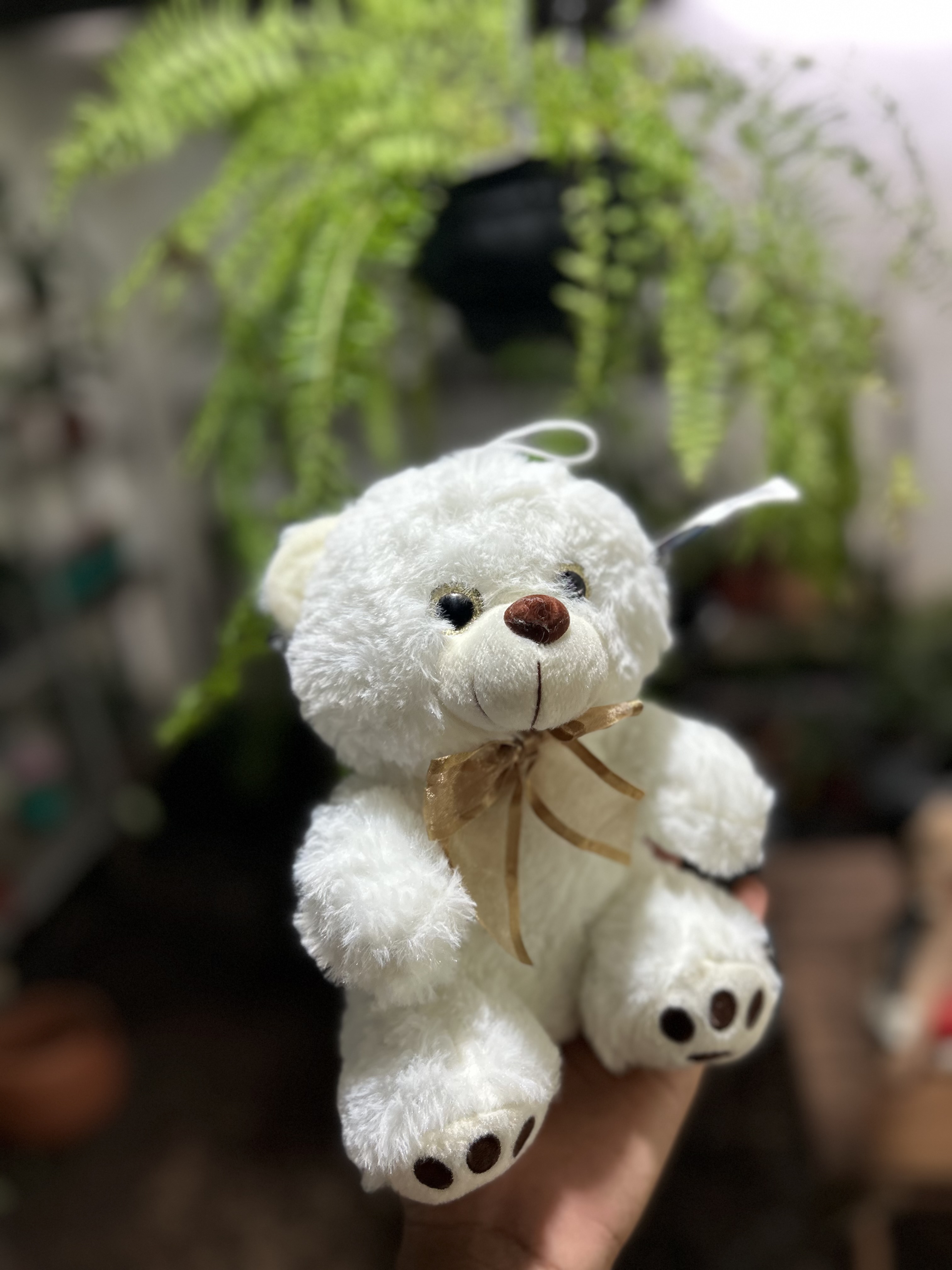 Ursinho de pelúcia é branco