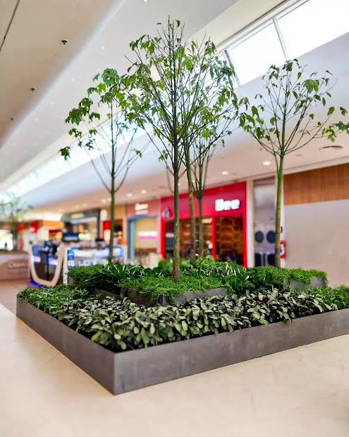 Planejamento e execução de Jardins internos 